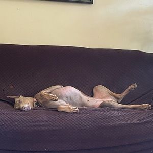 Meet your Posher, Ron